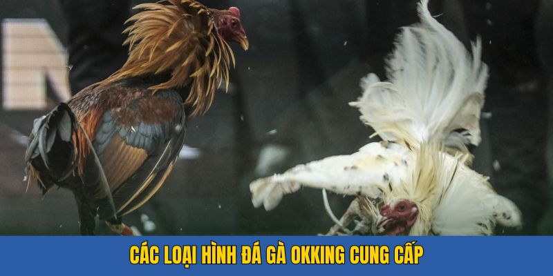 Các loại hình đá gà OKKing cung cấp