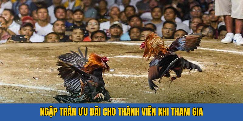 Ngập tràn ưu đãi cho thành viên khi tham gia